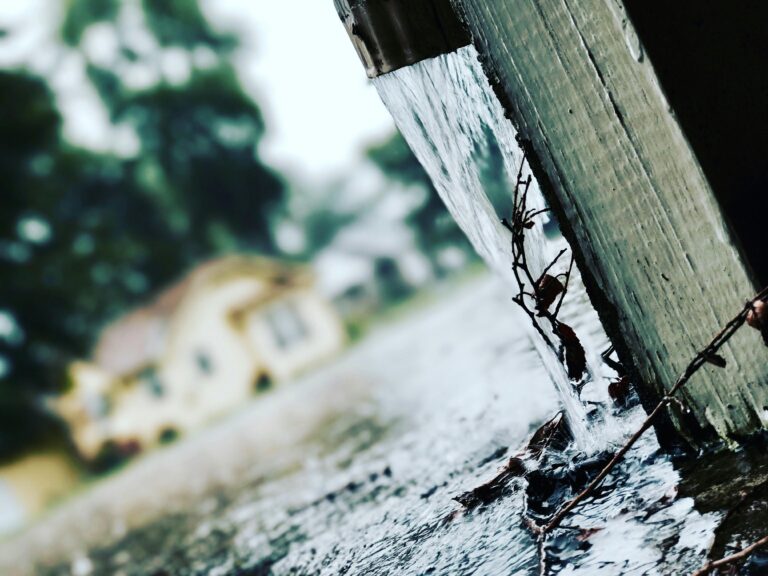 gutter maintenance