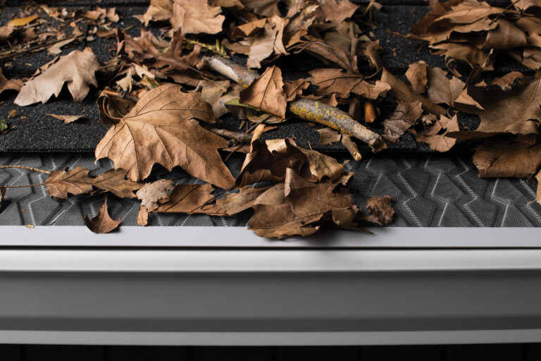 gutter with leaves