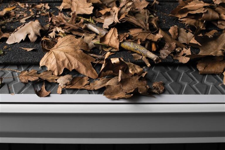 gutter with leaves
